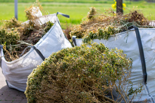 Best Basement Cleanout Services  in Riverton, UT